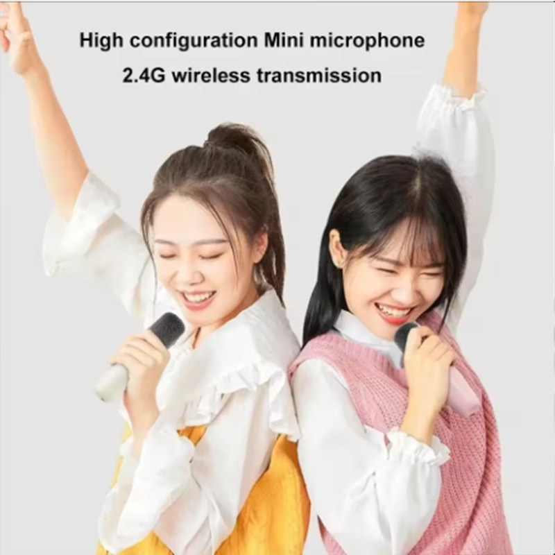K12 Karaoke Machine Portable B - Shure Mic Sm58 recension och pris