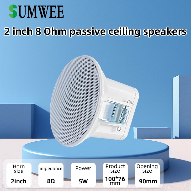 2Inch Mini 8 Ohm Ceiling Speak - Audio Music For Background recension och pris
