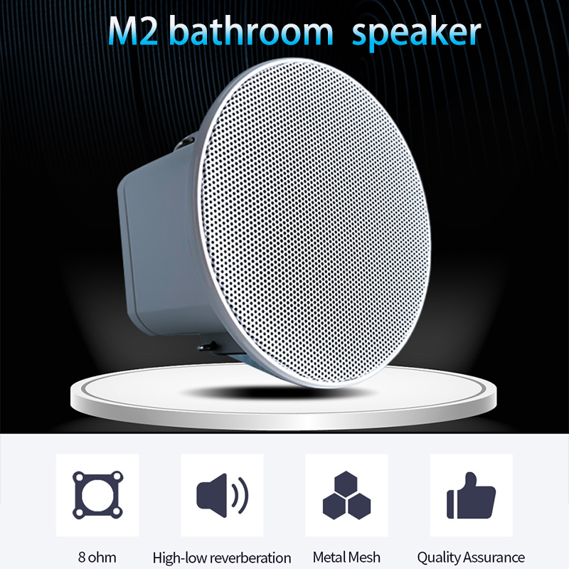 2Inch Mini 8 Ohm Ceiling Speak - Audio Music For Background recension och pris
